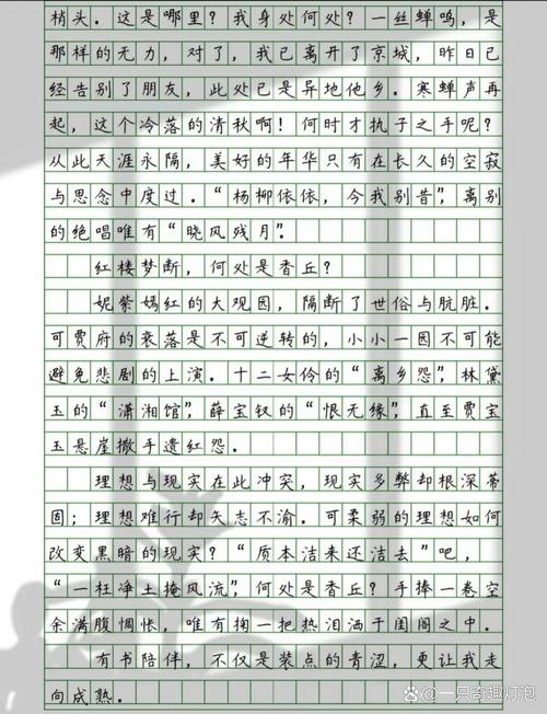 高一温暖的作文素材陪伴作文800字(个人通用)
