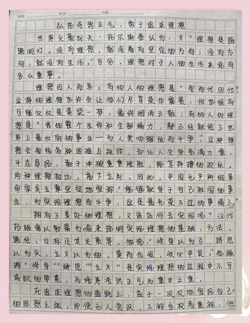 高考2017年内蒙古满分作文:也谈“敢于正视”优秀作文