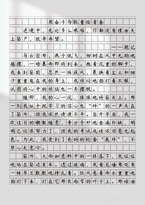 高考2017年内蒙古满分作文:也谈“敢于正视”优秀作文