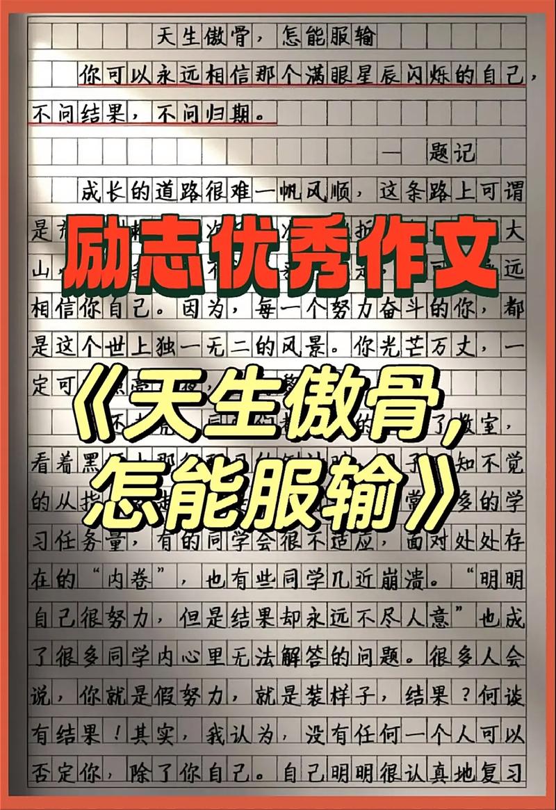 宁夏高考2017年满分作文：文人的小升初作文傲骨