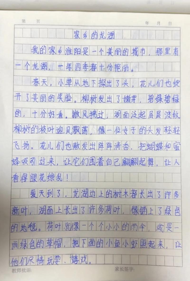 家乡作小学作1000字