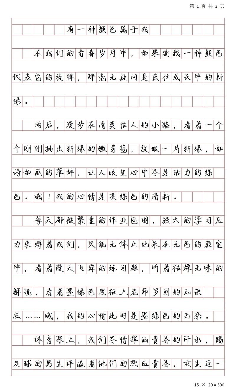 我眼中的作文色彩中考作文