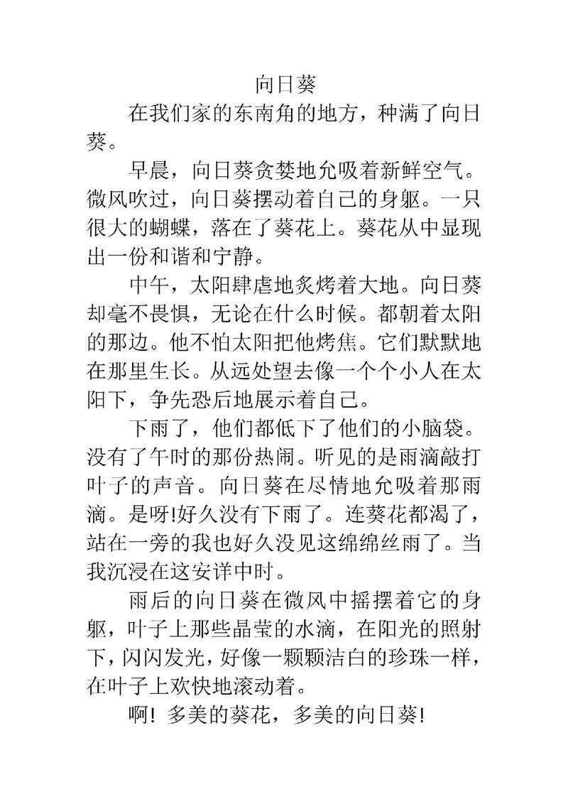 观察向日葵作文300字三年高考作文(个人通用)