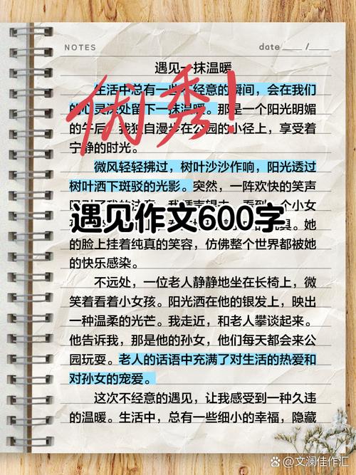遇见作作文网600字初二友谊