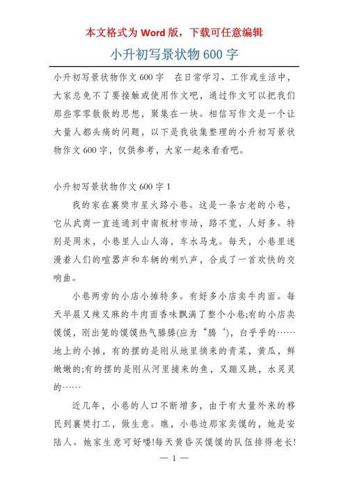 又是一年盛夏时作小升初作文600字(优秀4篇)