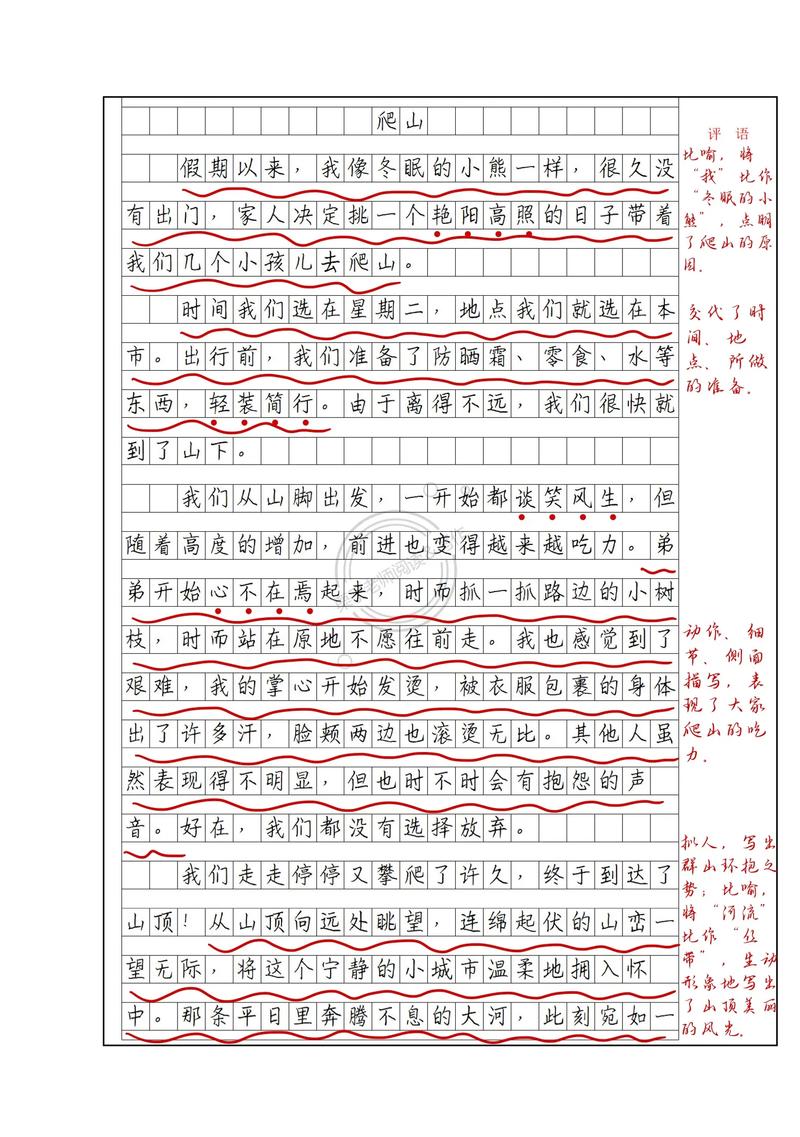寒假见闻作文300字小学三年作文素材(优秀)