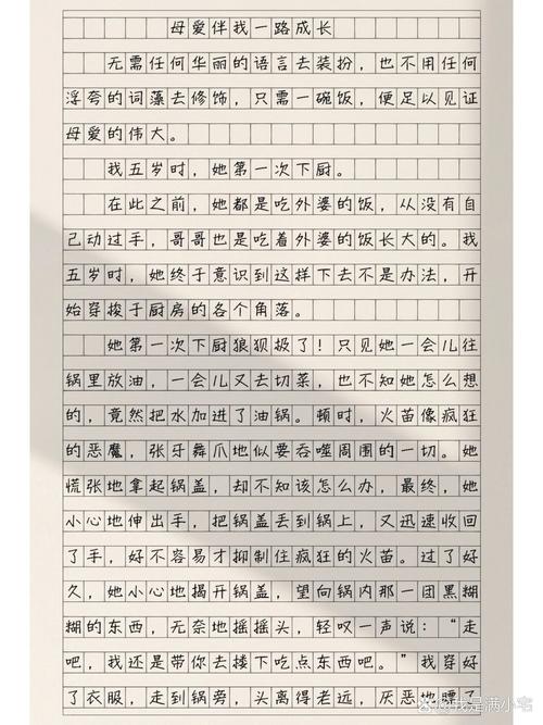 母亲陪我们的看图作文一生作文800字(合集5篇)