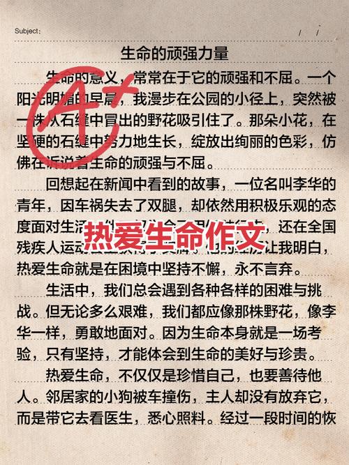 热爱生命的高中作故事四年级优秀作文(精选5篇)