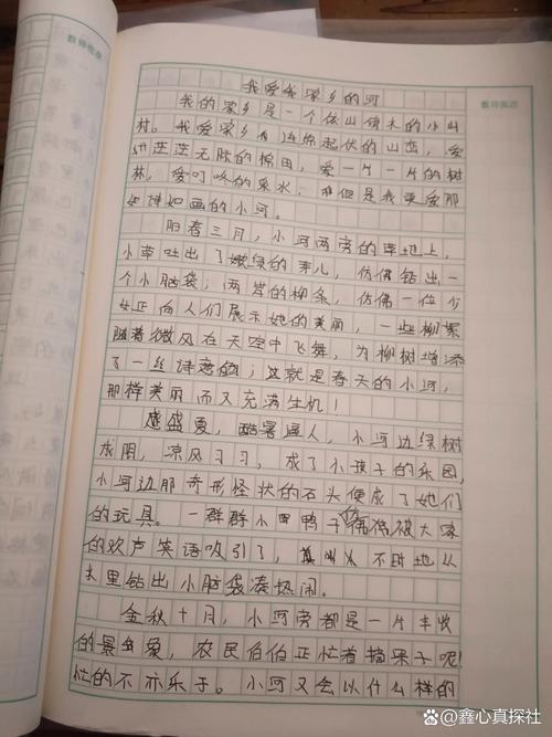 美丽的优秀作文母亲河初一优秀作文(个人通用)