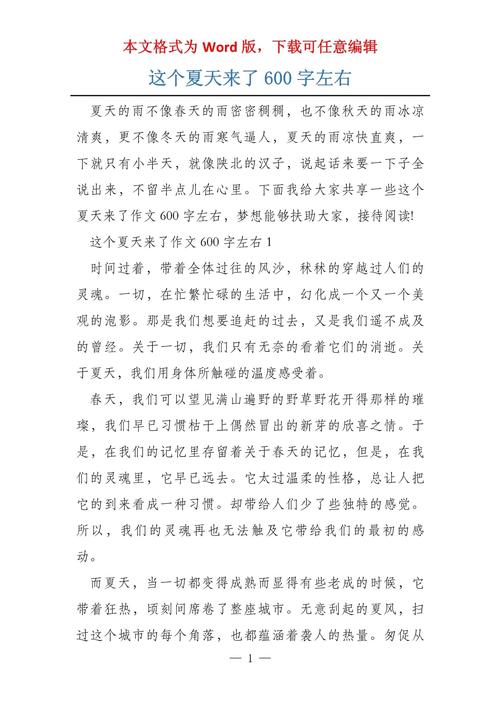 这个夏天作初中作600字初二
