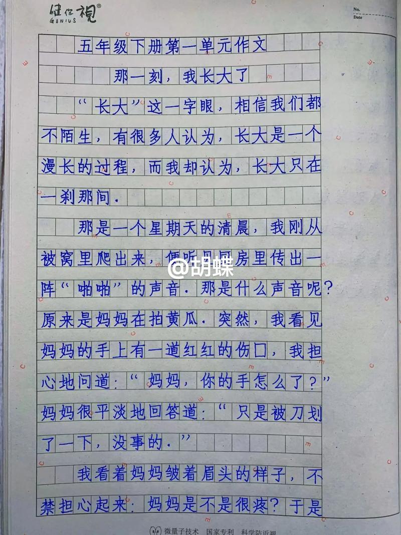 那一刻我长大了作文500字五年小学作2022