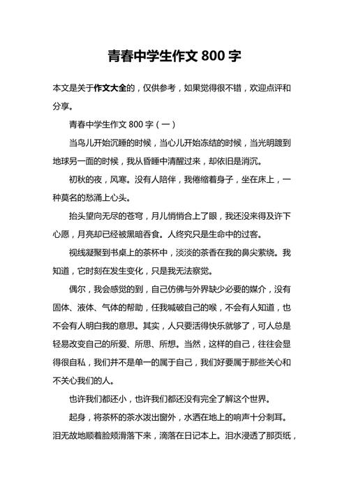 青春作初中作800字高中(经典)