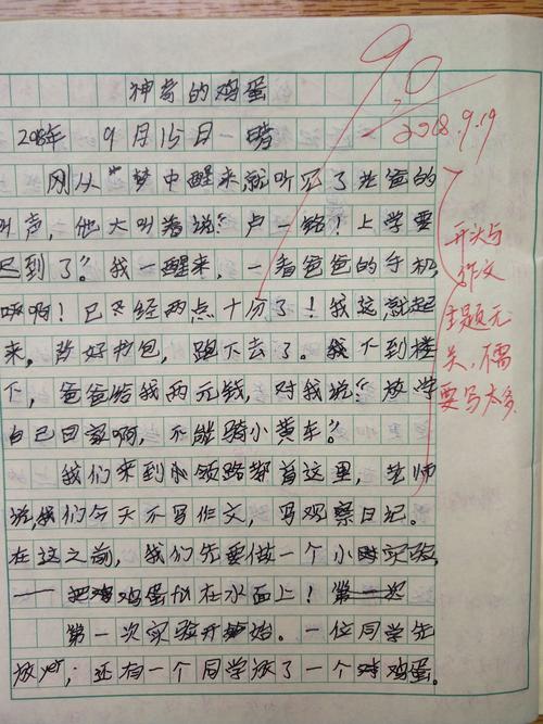 鸡蛋的初中作作文400字四年级(优秀6篇)