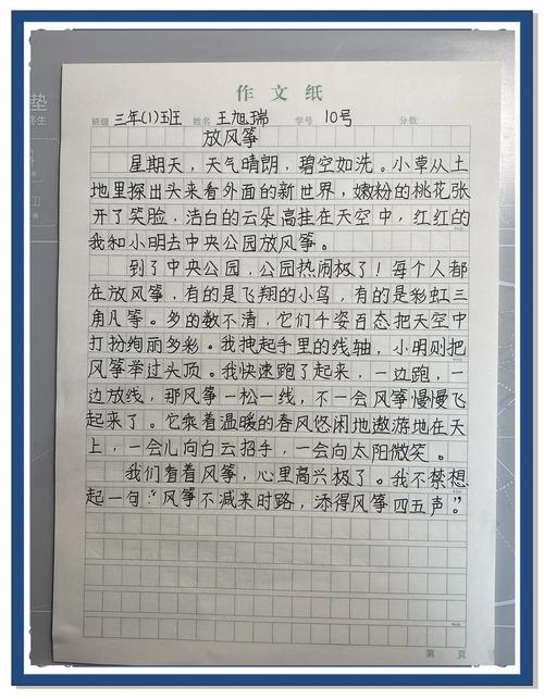 放风筝作小学作300字(合集12篇)