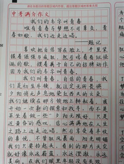 满分作文: 桂香中弥漫的高考作文青春