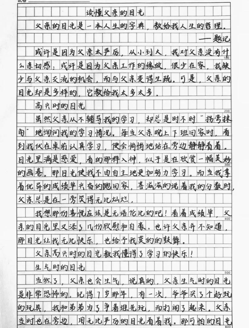父亲的中考作文目光初二优秀作文600字(个人通用)