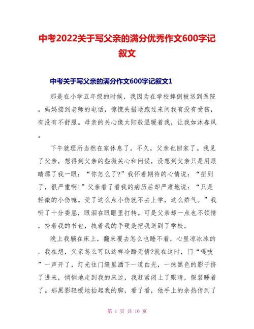 父亲的中考作文目光初二优秀作文600字(个人通用)