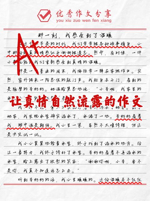 让真情自然流露作看图作文感动500字(合集18篇)