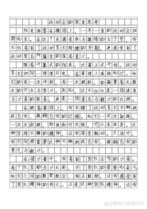 运动会作高中作600字点面结合