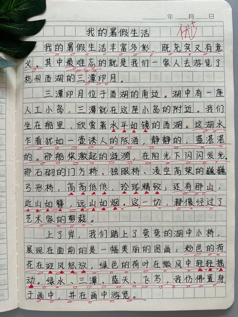 小学生我的中考作文暑假生活作文450字(精选15篇)