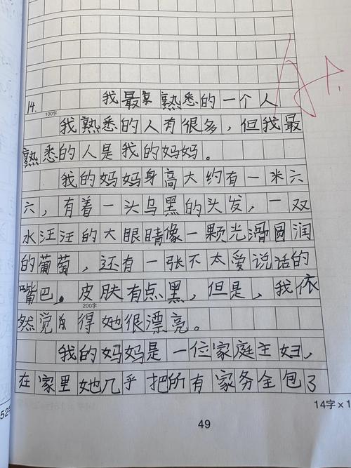 我最熟悉的高考作文一个人作文300字(个人通用)