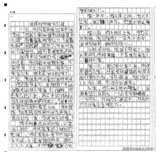 最牛考生入选零分作优秀作文