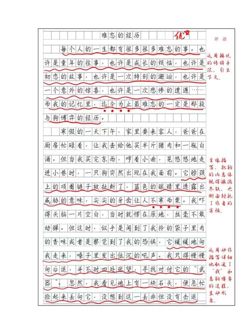 腿小学作高考作文分享