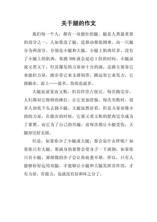 腿小学作高考作文分享