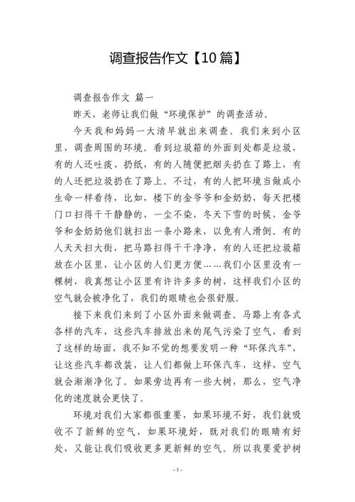 调查报告作文五年优秀作文500字精选6篇