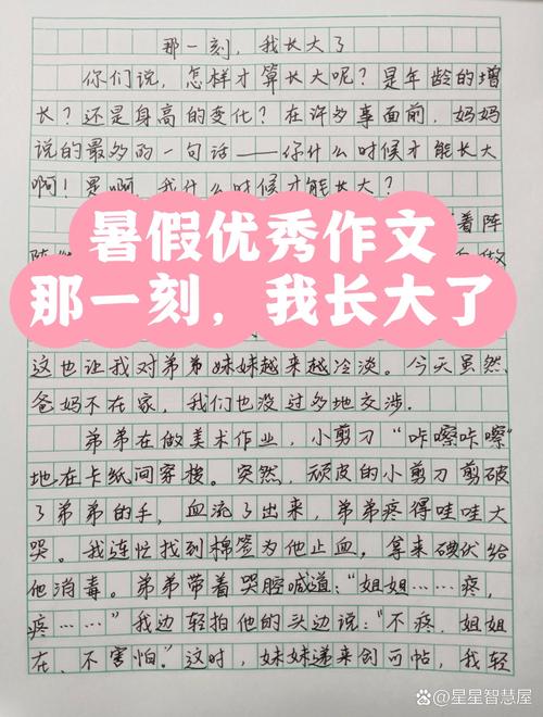 通用的作文那一刻我长大了作文300字优秀