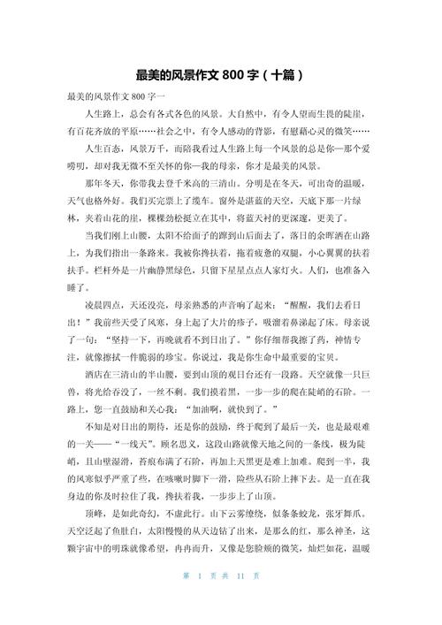 风景议论文800字