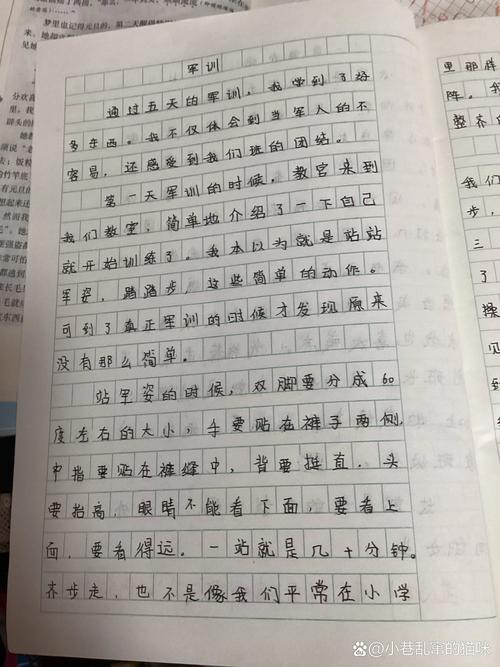 高一军训时光作作文素材600字