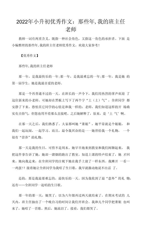 高中赞美老师的小升初作文作文