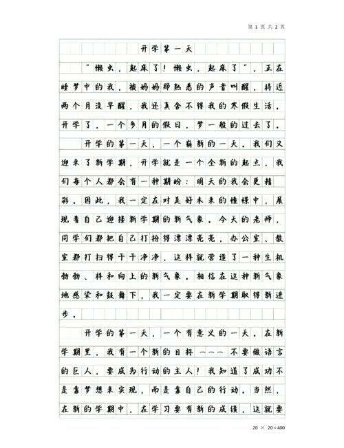 高二开学作作文网800字