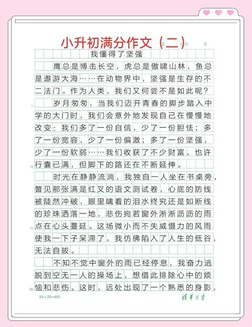 学会独立作小升初作文800字高中