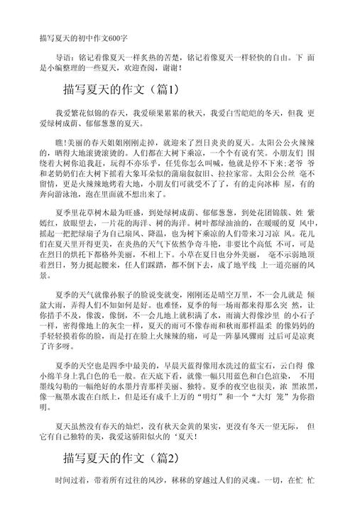 寻找夏天的高考作文初中作文600字(个人通用)