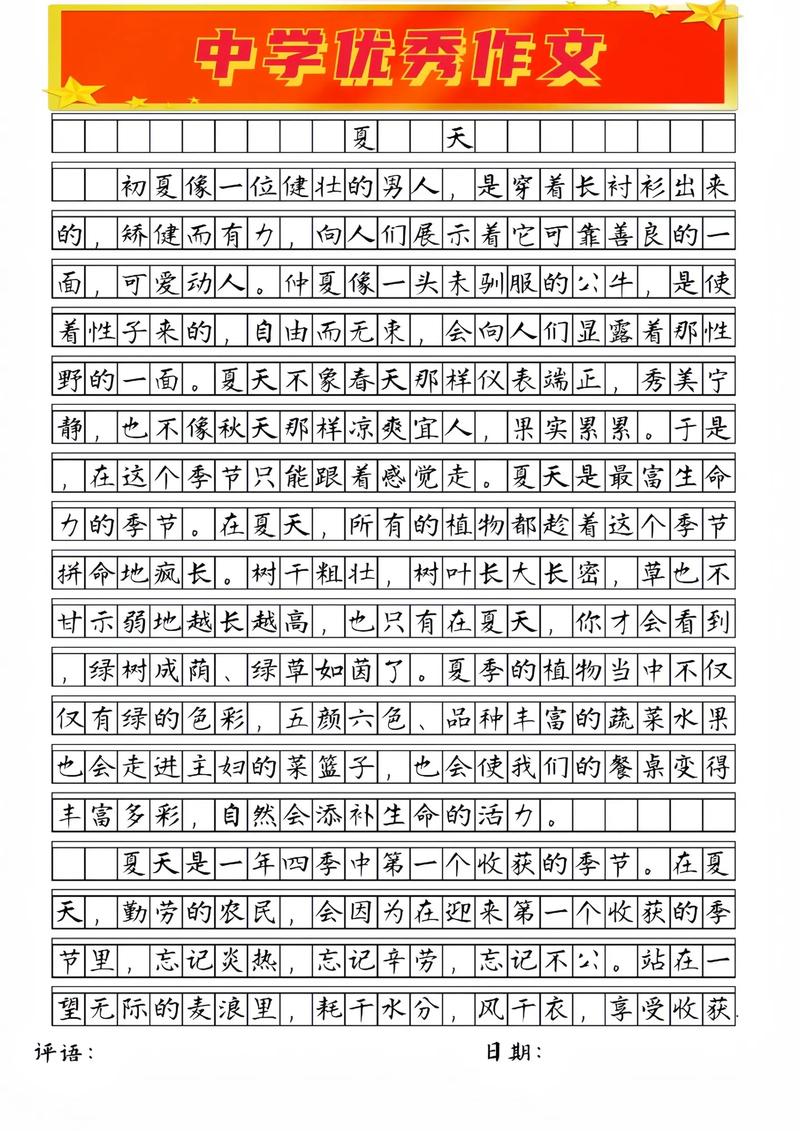 寻找夏天的高考作文初中作文600字(个人通用)